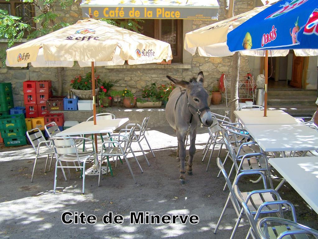 Hotel Las Cigalas Villeneuve-lès-Béziers المظهر الخارجي الصورة